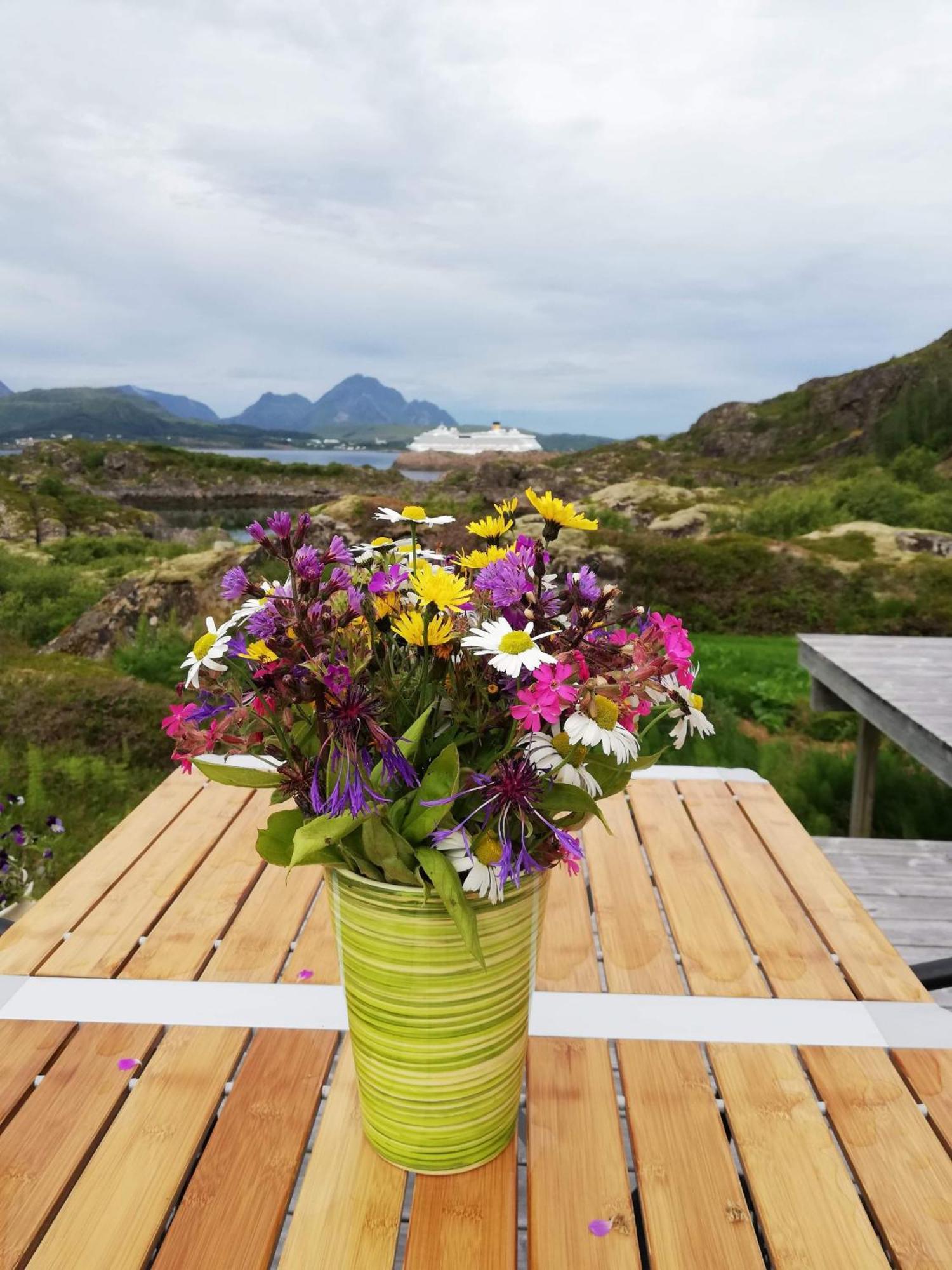 לקנס Unique Private Cabin In Lofoten מראה חיצוני תמונה