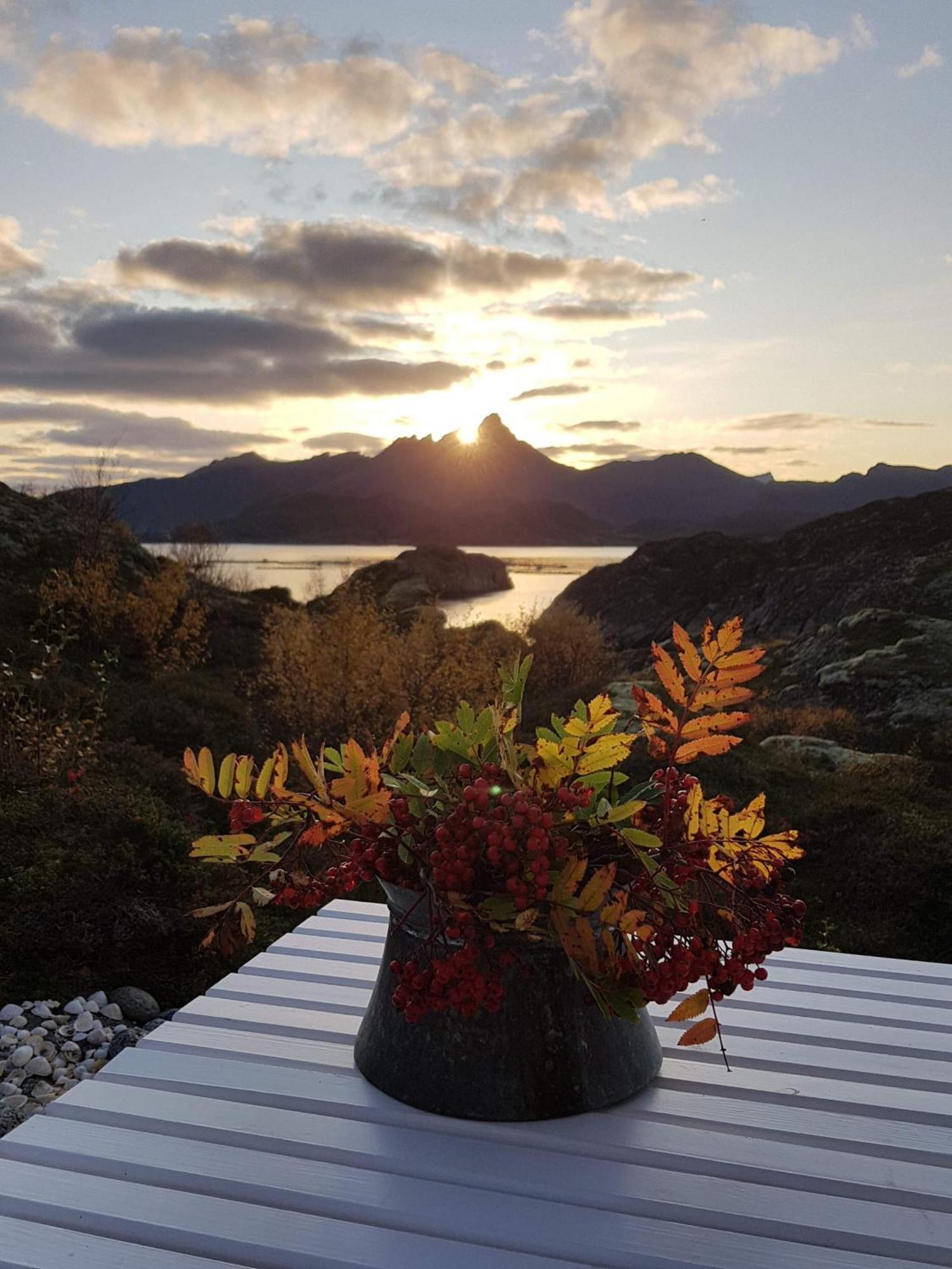 לקנס Unique Private Cabin In Lofoten מראה חיצוני תמונה