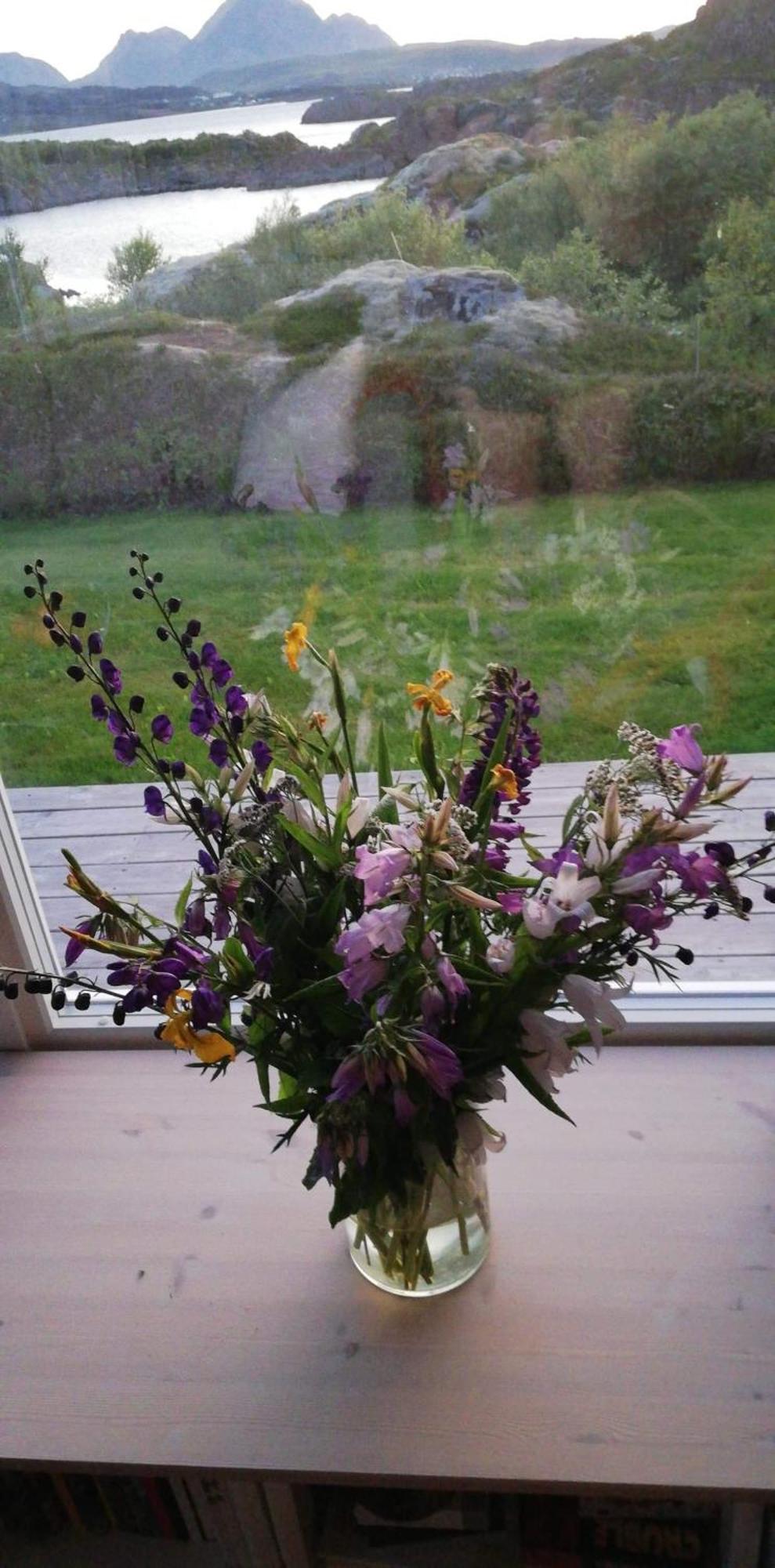 לקנס Unique Private Cabin In Lofoten מראה חיצוני תמונה